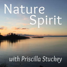 Podcast thumbnail for Nature :: Spirit — Exploring spirituality in a living world