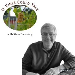 Podcast thumbnail for If Vines Could Talk