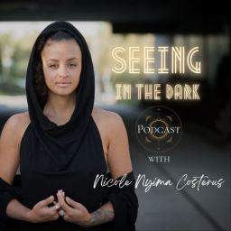 Podcast thumbnail for Seeing in the Dark