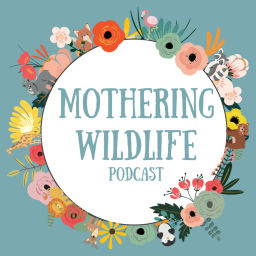 Podcast thumbnail for Mothering Wildlife