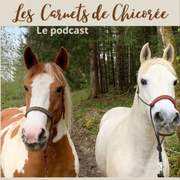 Podcast thumbnail for Les Carnets de Chicorée