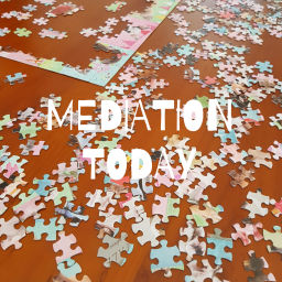 Podcast thumbnail for MEDIATION TODAY