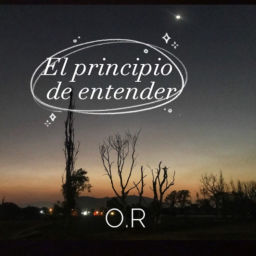 Podcast thumbnail for El principio de entender