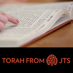 Podcast thumbnail for JTS Torah Commentary