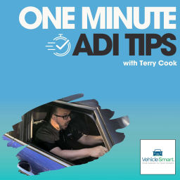 Podcast thumbnail for One Minute Driving Instructor Tips