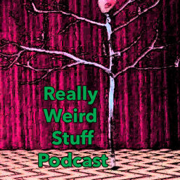 Podcast thumbnail for Really Weird Stuff: A Twin Peaks Podcast