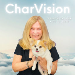Podcast thumbnail for CharVision