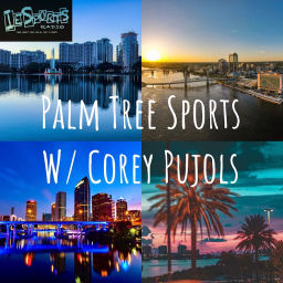 Podcast thumbnail for Palm Tree Sports
