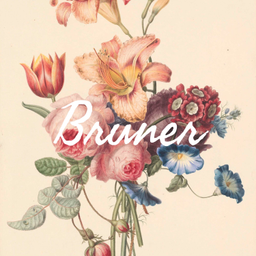 Podcast thumbnail for Bruner