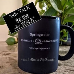 Podcast thumbnail for edi- TALK for the -ity WALK