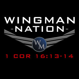 Podcast thumbnail for Wingman Nation Men's Moment
