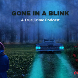 Podcast thumbnail for Gone in a Blink