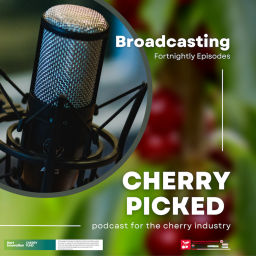 Podcast thumbnail for Cherry Picked