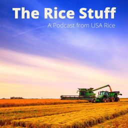 Podcast thumbnail for The Rice Stuff