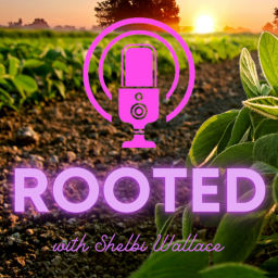 Podcast thumbnail for Rooted