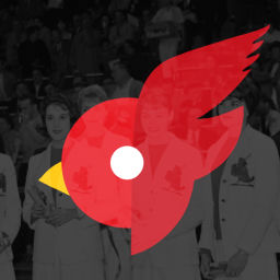 Podcast thumbnail for OnlyCardsFans