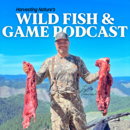 Podcast thumbnail for Wild Fish and Game Podcast