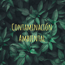 Podcast thumbnail for Contaminación Ambiental