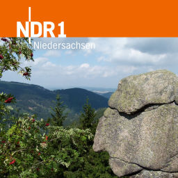 Podcast thumbnail for Wir in Niedersachsen - aus dem Studio Braunschweig | Nachrichten