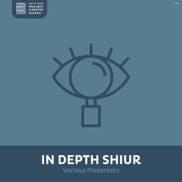 Podcast thumbnail for Sicha In Depth