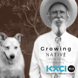 Podcast thumbnail for Growing Native with Petey Mesquitey