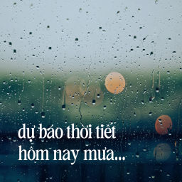Podcast thumbnail for dự báo thời tiết hôm nay mưa…