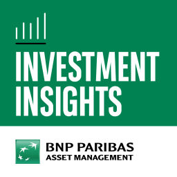 Podcast thumbnail for Investment Insights