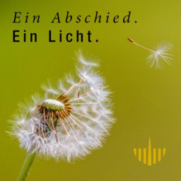 Podcast thumbnail for Ein Abschied. Ein Licht.