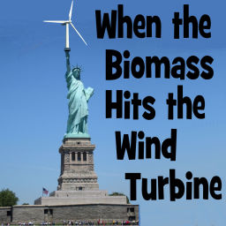 Podcast thumbnail for When the BioMass Hits the Wind Turbine