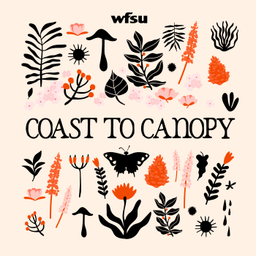 Podcast thumbnail for Coast to Canopy