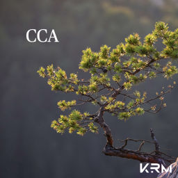 Podcast thumbnail for CCA La Paz