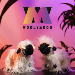 Podcast thumbnail for Woolymood Attitude