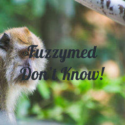 Podcast thumbnail for I'm not that monkey...