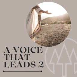 Podcast thumbnail for Sierra Pines Church Podcast