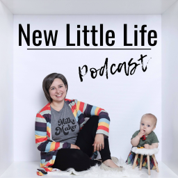 Podcast thumbnail for New Little Life Podcast