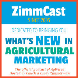 Podcast thumbnail for ZimmCast