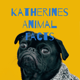 Podcast thumbnail for Katherines Animal Facts
