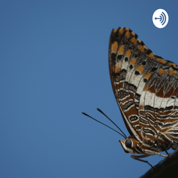 Podcast thumbnail for Butterfly