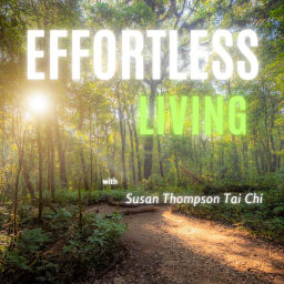 Podcast thumbnail for Effortless Living; Living an Easier Life