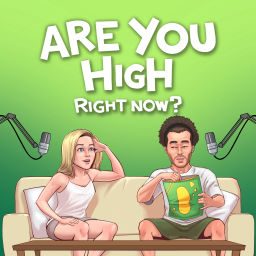 Podcast thumbnail for Are You High Right Now?