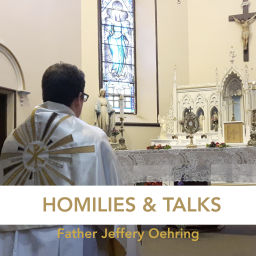 Podcast thumbnail for Homilies and Talks by Father Jeff Oehring