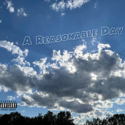 Podcast thumbnail for A Reasonable Day