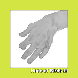Podcast thumbnail for Hope of Birds Ⅱ
