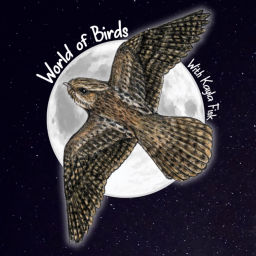Podcast thumbnail for World of Birds