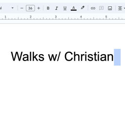 Podcast thumbnail for Walks w/ Christian