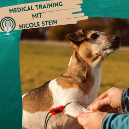 Podcast thumbnail for Medical Training mit Nicole Stein