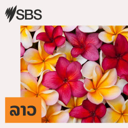 Podcast thumbnail for SBS Lao - SBS ພາສາລາວ