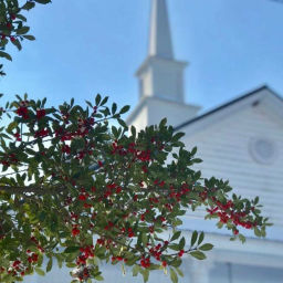 Podcast thumbnail for Reddicks Grove Baptist