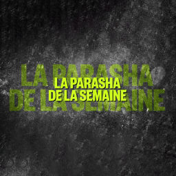 Podcast thumbnail for La Parasha de la Semaine by Olami Marseille
