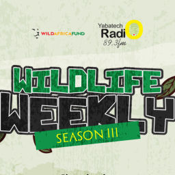 Podcast thumbnail for Wildlife Weekly